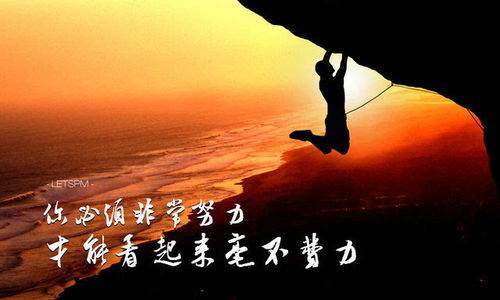 唱给缺德的人的歌，十大嘲讽人的歌