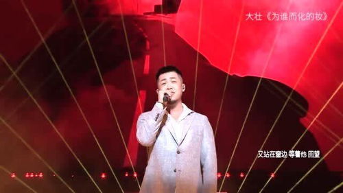 大壮的歌曲名单大全,大壮的歌曲视频全部歌曲