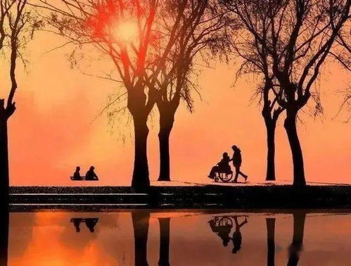 夕阳之歌是哪一年的歌，夕阳之歌最早出自哪里