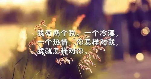 夜深人静是什么歌的歌词，在这夜深人静的时候我好想哭一场