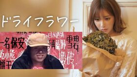 大不了花姐歌词,大不了花姐免费听