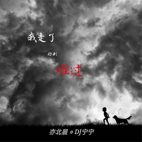 多年以后有没有人记得我,歌曲《多年以后》歌词