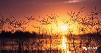 在日落前拥抱中文音译，在日落前拥抱mp3下载