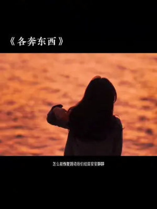 多年以后你我各奔东西是什么歌，《多年以后》完整版