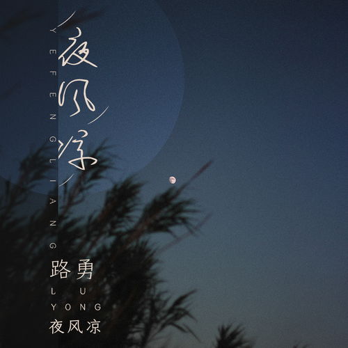 夜风冷冷冷粤语是什么歌,夜雨中什么冷冷冷的粤语歌