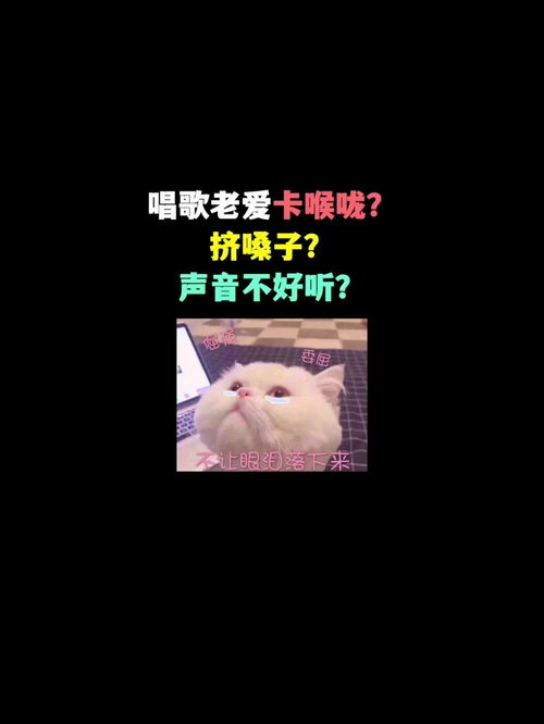 声音不好听可以学唱歌吗，高二学声乐还来得及吗