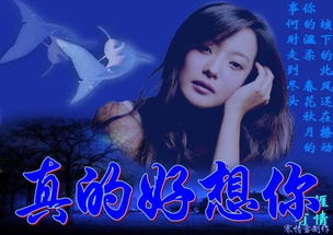 多想还有你思念版，想你总是很甜蜜原唱