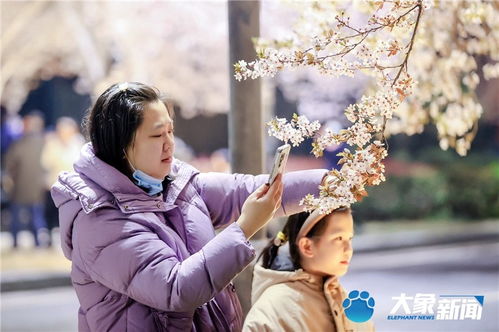 夜未央在爱情中意思,夜未央的下一句是什么