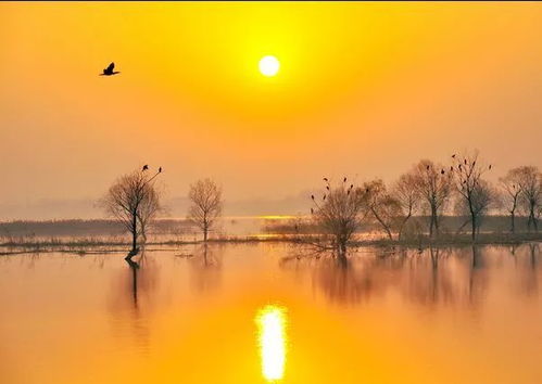 夕阳之歌的深意,夕阳的人生哲理