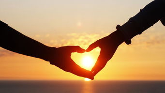 夏天的风表达什么爱情，夏天风大预示着什么