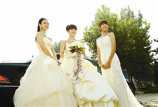 夏家三千金主题曲及插曲,夏家三千金歌曲不让你哭