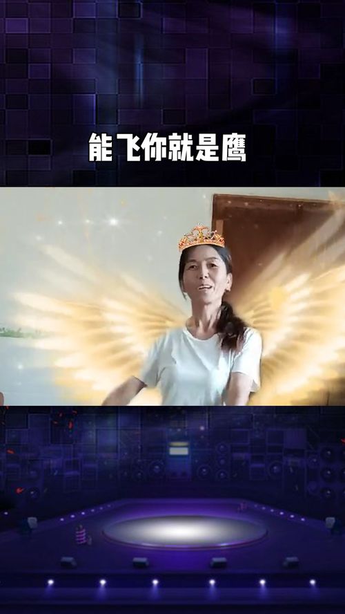 夜深深飞起来的原唱，是鹰你就飞起来原版原唱