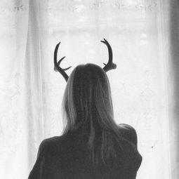 多么多么的冷漠是什么歌，你多么多么的冷漠