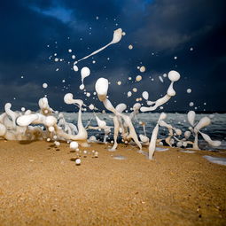 大姑娘美大姑娘浪表达什么意思,大姑娘美大姑娘浪表达的意境