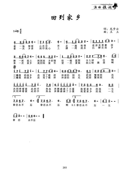 多年以后回到家乡歌名是什么，《多年以后》完整版