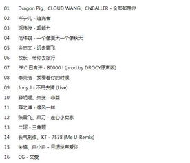 多少无奈藏在心中是什么歌名,抖音很火的一首歌叫什么孤独