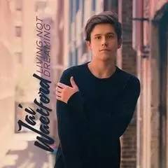 太多这首歌的真实意思，男人唱太多这首歌什么意思