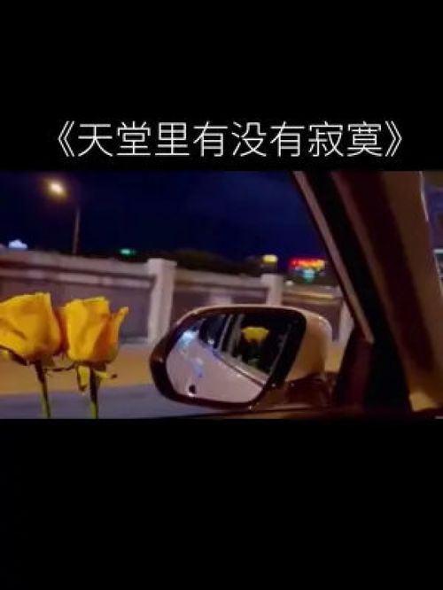 失去亲人伤感的歌曲，思念天堂亲人的歌曲