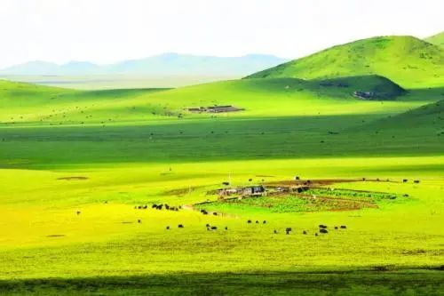 天苍苍野茫茫歌曲原唱，天苍苍野茫茫风吹草低见牛羊歌曲
