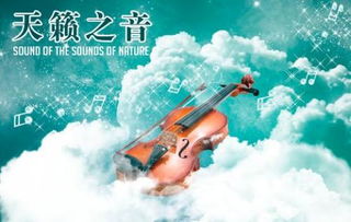 天籁之音比喻什么意思，天籁之音是夸人的吗