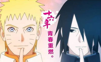 央视对火影忍者评价，看火影的都是弱智