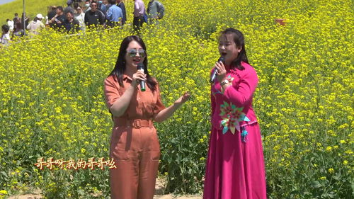 夸赞一首歌好听的词,人美歌甜气质佳的句子