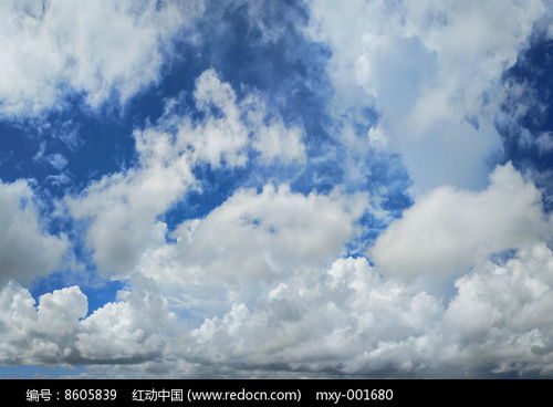 天边飞的是什么花儿还是云朵，二年级天空飘着什么的白云