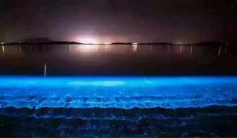 女人发一首蓝眼泪表达啥意思，蓝眼泪要和最爱的人一起看吗