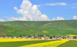 天苍苍路漫漫是哪首歌，天苍苍野茫茫的完整诗