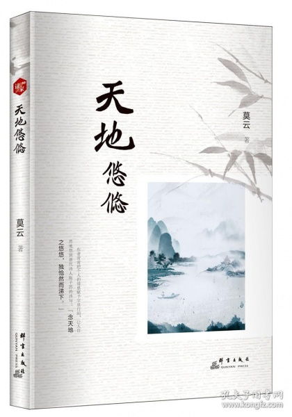 天地悠悠下一句是什么，天地悠悠是什么意思