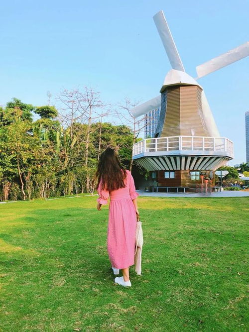 奔跑的寓意和含义,奔跑象征着什么