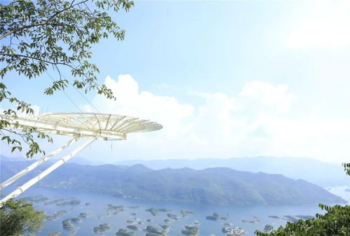 天空之城的真正寓意，天空之城深度解析