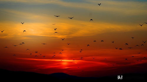 太阳太阳给我们带来七色光彩歌词，儿童歌曲《太阳》