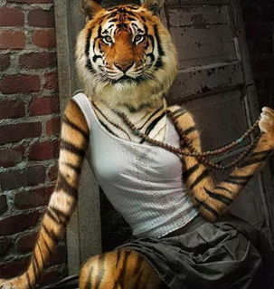 女人是老虎下一句怎么接，女人为什么叫母老虎