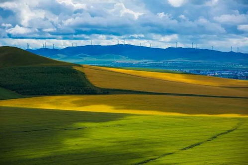 天苍苍野茫茫风吹草低见牛羊，风吹草低见牛羊读jian对不对