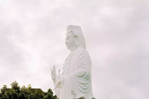 女人喜欢听佛歌意味啥，与佛有缘的人征兆会怎样