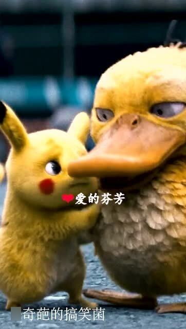 太阳暖洋洋天气好晴朗是什么儿歌，儿歌太阳暖洋洋