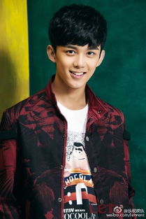 央视点名吴磊事件，吴磊面相变了