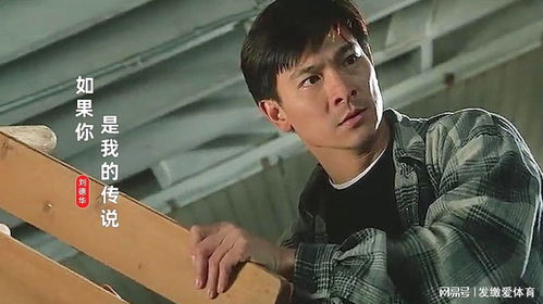 天若有情天亦老我只担心等不到歌词，刘德华《天若有情》