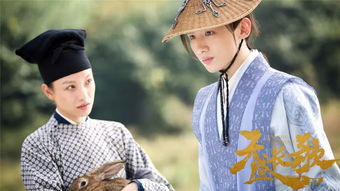 天盛长歌为什么停播了，凤知微的孩子是谁的