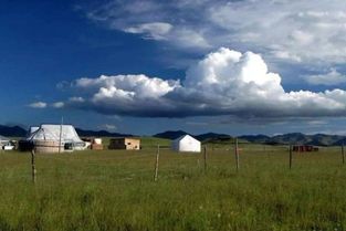 天苍苍野茫茫是啥歌，天苍苍路漫漫是哪首歌