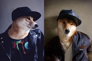 女声wegowego是哪首歌，歌曲中间是黑喂狗黑喂狗黑喂狗来