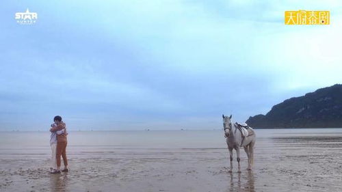 女生发身骑白马啥意思，身骑白马的歌词意境