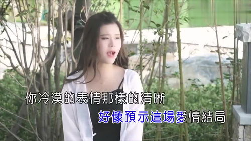 如今你在哪座城市里原唱，《失去爱的城市》原唱