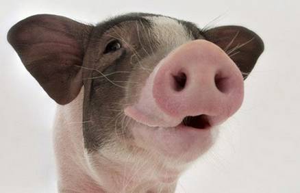 女生用鼻音哼的emmm的一首纯音乐，一首歌女生嗯嗯嗯鼻音