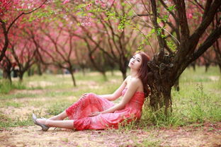 好听的赏花歌曲，赏花发抖音配什么歌曲