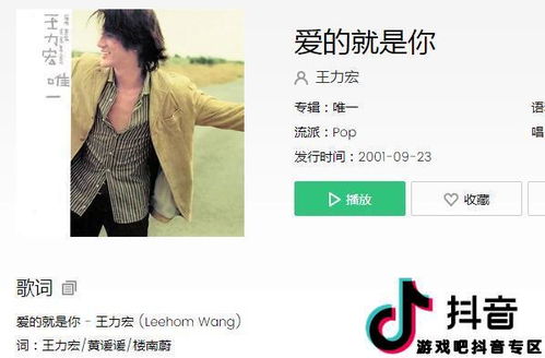 好想把你拥入我怀里求歌名，我将你紧紧拥入怀里把你捧在手心