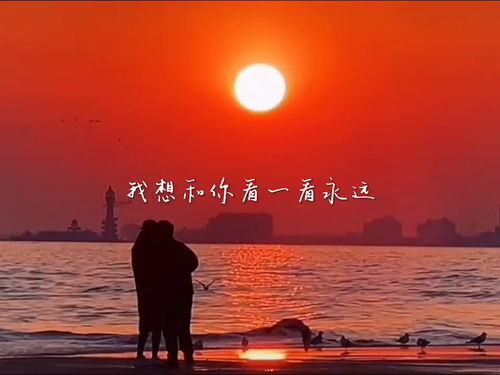 女朋友说长路奉献给远方，爱的奉献表达了什么感情