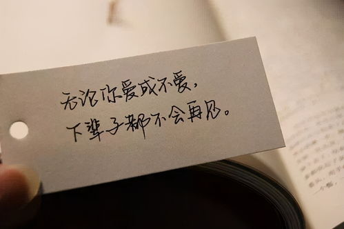 如果下辈子还能遇见你，我说下辈子如果你愿意歌名