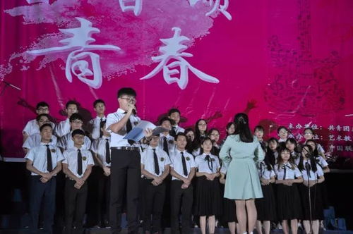 好唱又有气势的大合唱，23年最火的合唱歌曲